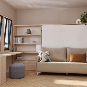 Biblioteca con cama abatible con sofá
